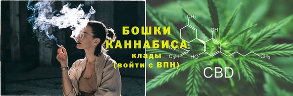 соль ск Каменногорск