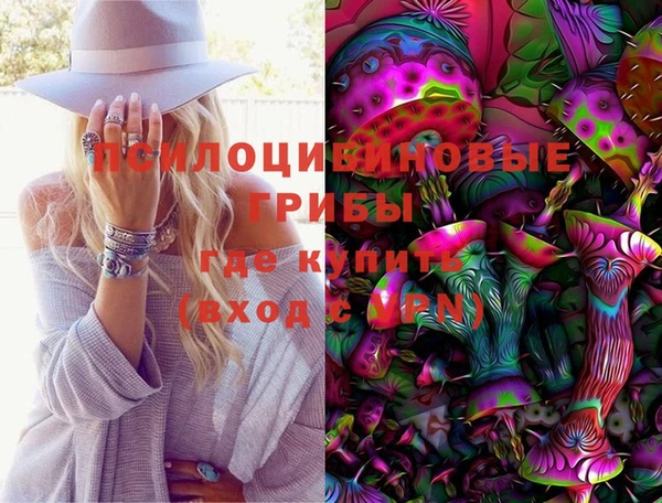 соль ск Каменногорск