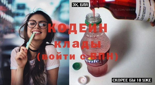 соль ск Каменногорск