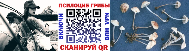 Галлюциногенные грибы Psilocybe Люберцы