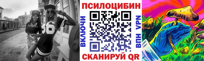 где продают наркотики  Люберцы  OMG ссылки  Галлюциногенные грибы Magic Shrooms 