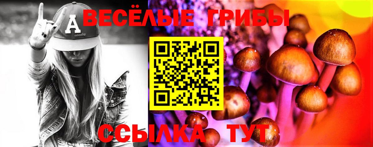 Люберцы  где найти наркотики  Вход с VPN  Псилоцибиновые грибы Psilocybine cubensis 